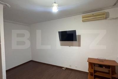 Garsoniera, 24mp, Zona Teiul Doamnei - 4