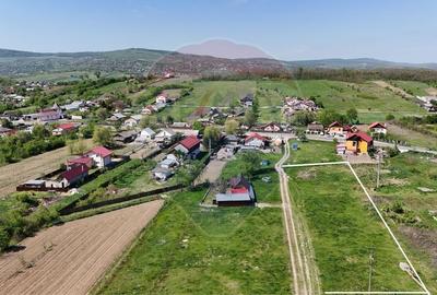 Teren  Intravilan plan in Mogosesti Iasi - 4