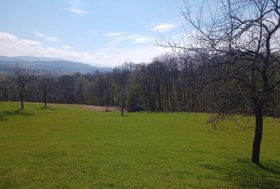 Teren de 17264 mp, în Pietroasa - 6