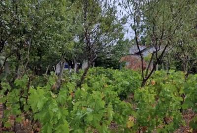 Casă cu 4 camere cu Teren 2700 Mp în Năeni - 2