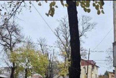 Garsoniera Bucuresti, ID: R2850735 - 3