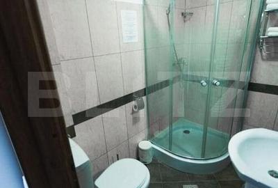 Spațiu comercial, în Vișeu de Jos - 13