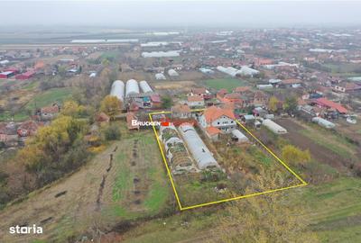 Casă cu 3 camere cu Teren 2877 Mp în Roșiori - 10