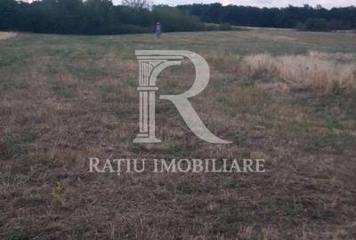 Teren agricol extravilan de 9664 mp, în Betfia