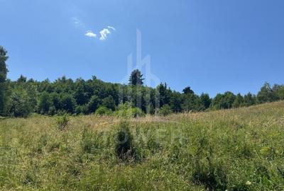 Teren intravilan 4600mp - 55 EUR/mp - EXCLUSIVITATE CISNADIOARA - COMISION 0% - 7