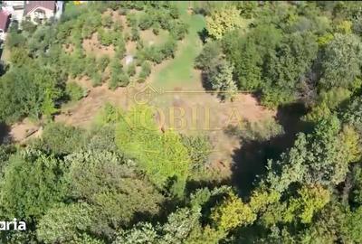Teren de 10537 mp, în Bogdănești - 15