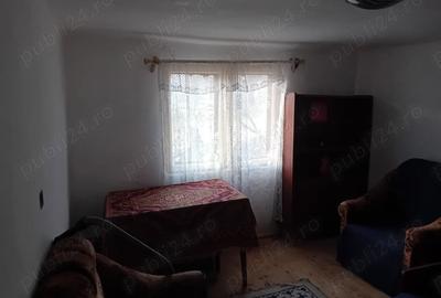 Casă cu Teren 3454 Mp în Mislea - 4