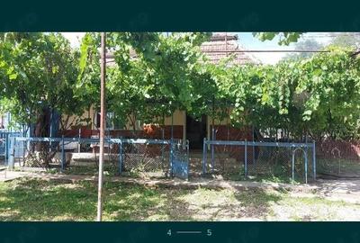 Casă cu Teren 12500 Mp în Valea - 4