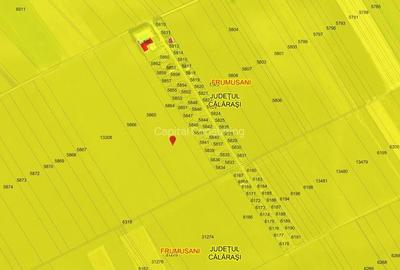 Teren Construcții intravilan de 45602 mp, în Frumușani - 4