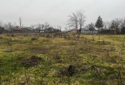 Spațiu comercial, în Alexandriei - 2