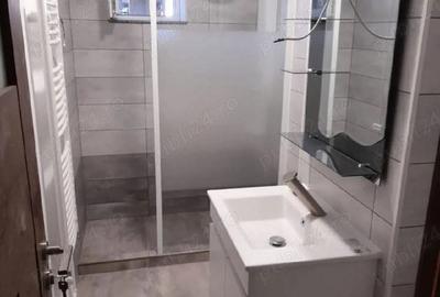 Apartament cu 2 camere semidecomandat în Podu Roș - 3