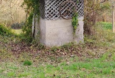 Casă cu 3 camere cu Teren 1400 Mp în Avram Iancu (Vârfurile) - 1