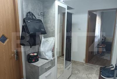 Casa complet mobilata , 3 camere , Seciu , Vedere Panoramica - 9