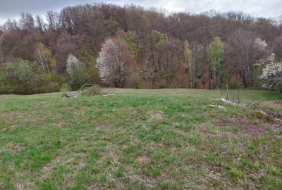 Spațiu comercial, în Damiș - 2