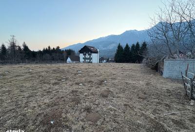 Spațiu comercial, în Piatra Arsă - 7