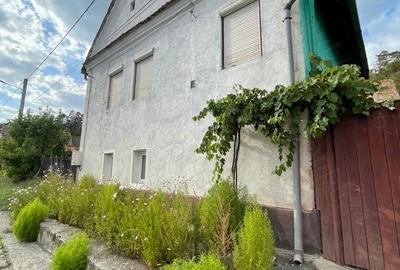 Casă cu 4 camere în Fișer - 3