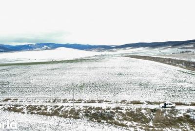 Teren de 4800 mp, în Ciritei - 8