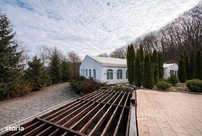 Spațiu comercial, de 750 mp, în Făget - 5