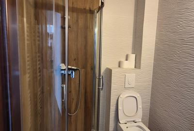 Apartament cu 3 camere semidecomandat, mobilat în 13 Septembrie - 36