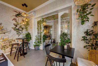 Vindem Afacerea ! Mini Hotel + Cafenea/ Restaurant ! Parcul Carol ! - 23