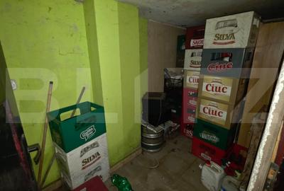 Proprietate istorica cu potential de transformare, in exclusivitate, 150 mp - 13