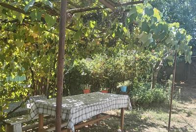 Vand casa la smirna. pre? u?or negociabil 20.000 euro - 10