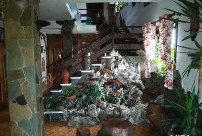 Casă cu 4 camere cu Teren 3000 Mp în Teiș - 5