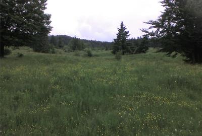 Teren în Moroeni - 1