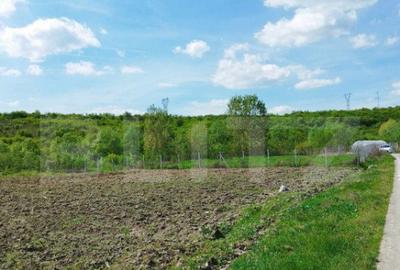 Teren 31 ari, zona linistita - 2