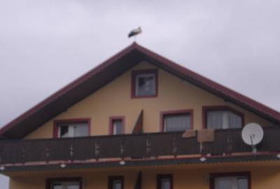 Casă individuală cu 5 camere cu Teren 1000 Mp în Malul Ursului