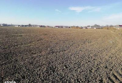 Teren de 6872 mp, în Săucești - 3