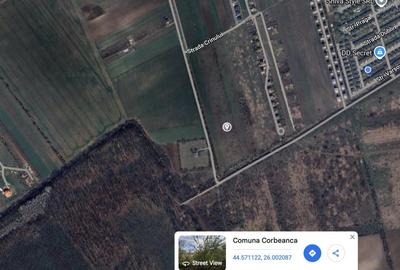TEREN INTRAVILAN |  1000 mp | CORBEANCA | TAMASI | PADURE | - 5
