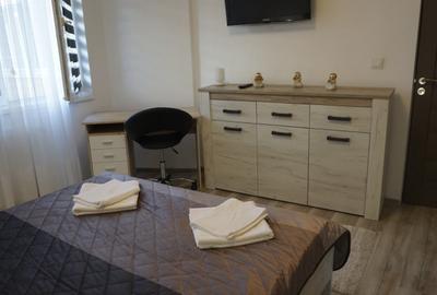 Garsonieră decomandată, mobilată în P-ța Unirii - 2