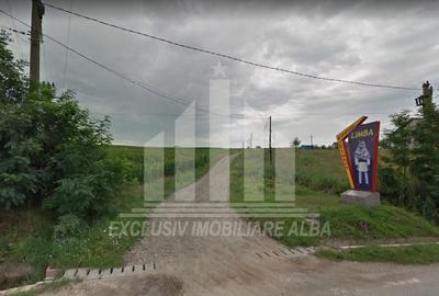 Teren agricol extravilan de 8000 mp, în Ciugud - 1