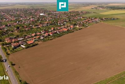 Teren de 28500 mp, în Șofronea - 8