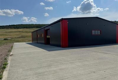 Parc Logistic in Miroslava alcătuit din 5 hale - 7