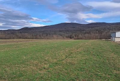 Spațiu comercial, în Central - 7