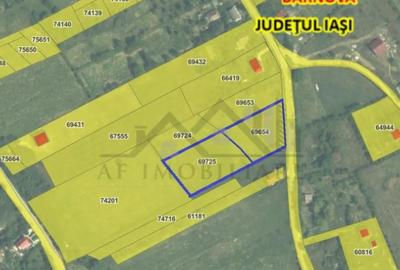 Teren de 4777 mp, în Bârnova - 5