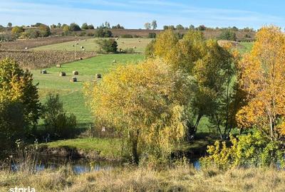Teren de 631 mp, în Agapia - 5