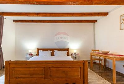 Casa / Vila cu 7 camere de vanzare - 44