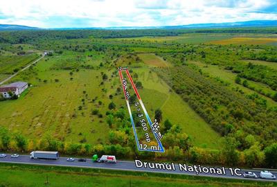 Teren Intravilan de Vanzare la Drum European Teren Intravilan de Vanzare la Drum European - 3