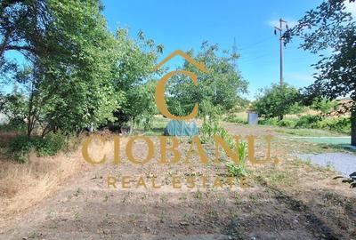 Teren intravilan de vanzare in Isalnita - 6