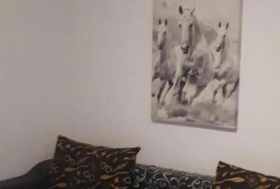 Garsonieră   zona  Cora Bratianu  mobilată utilată 20  mp - 5