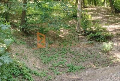 Teren de 1000 mp, în Merei - 10