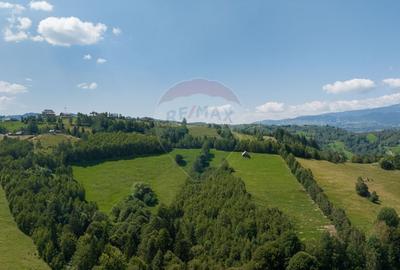 Teren Panoramic in Bran - Vedere spre Bucegi & Piatra Craiului - 5