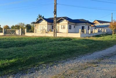 Casă cu 4 camere în Dănila