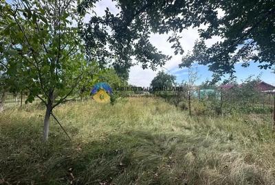 Teren de Vanzare 1172 mp Dumbrava Ro?ie, Neam? - 1