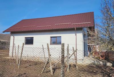 Casă cu 4 camere cu Teren 3000 Mp în Călinești - 10