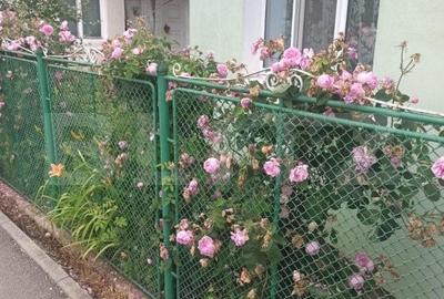 Casa cu 2 camere, 52mp, zona Remetea - 12