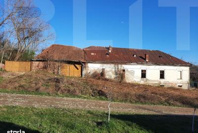 Casă cu 4 camere cu Teren 10000 Mp în Central - 9